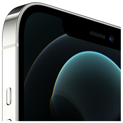 Apple iPhone 12 Pro Max 256Gb Silver, серебристый