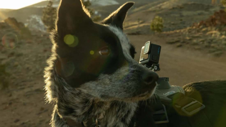 Экшн-камера GoPro HERO 4K Черный Экшн-камера GoPro HERO 4K Черный