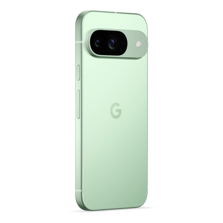 Google Pixel 9 256Gb Wintergreen, зелёный Google Pixel 9 256Gb Wintergreen, зелёный