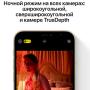 Apple iPhone 12 Pro Max 128Gb Graphite, графитовый
