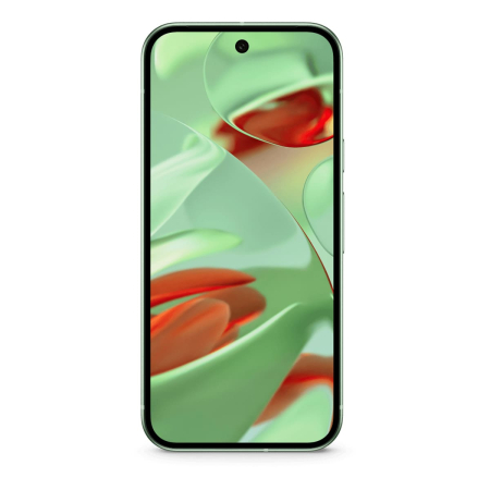 Google Pixel 9 256Gb Wintergreen, зелёный Google Pixel 9 256Gb Wintergreen, зелёный